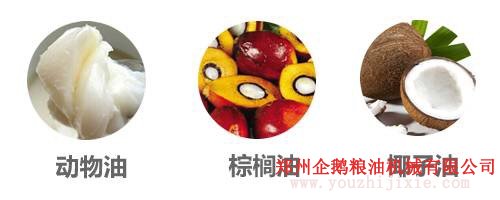 選油換油有講究, 食用油生產廠家教你選油吃油正確方法(圖6) 選油換油有講究, 食用油生產廠家教你選油吃油正確方法(圖6)