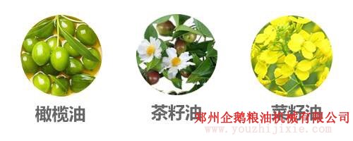 選油換油有講究, 食用油生產廠家教你選油吃油正確方法(圖2) 選油換油有講究, 食用油生產廠家教你選油吃油正確方法(圖2)