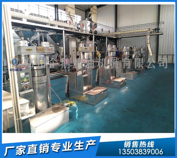 1-10噸核桃榨油生產線,選企鵝油脂設備錢景好(圖1) 油脂機械設備