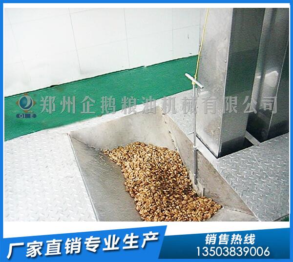 河北1-5噸核桃油生產線,企鵝油脂設備震撼出擊(圖1) 核桃油生產線