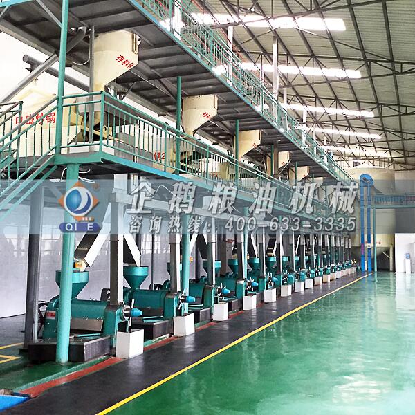 食用油加工機械設備,企鵝廠家口碑相傳(圖1) 油脂機械設備